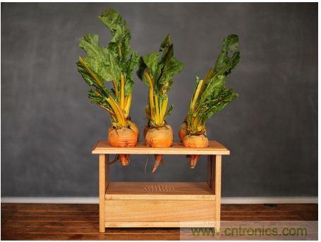 害怕圣誕節(jié)沒(méi)創(chuàng)意？看看發(fā)燒友們?cè)趺催^(guò)圣誕