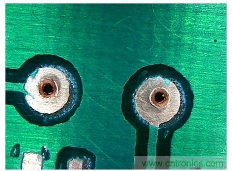 撐開的尾部(顯微鏡圖像)