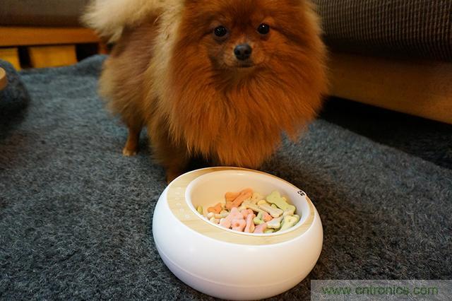 科學喂養(yǎng)從狗娃做起&mdash;&mdash;逗愛乖乖碗測試