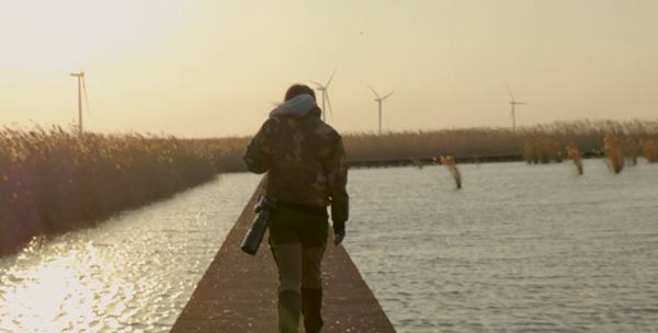 世界濕地日：?？低晹y手一個地球自然基金會，在上海守護這個重要“驛站”