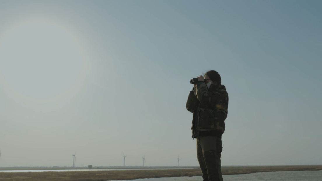 世界濕地日：?？低晹y手一個地球自然基金會，在上海守護這個重要“驛站”