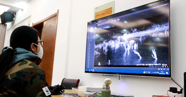 世界濕地日：?？低晹y手一個地球自然基金會，在上海守護這個重要“驛站”