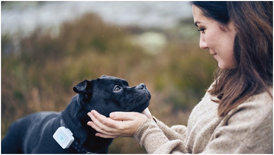 低功耗藍牙和蜂窩物聯(lián)網(wǎng)可穿戴設(shè)備幫助照看寵物